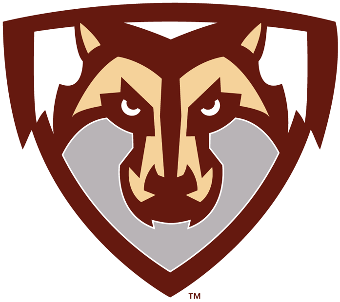 St. Bonaventure Bonnies 2002-Pres Partial Logo diy DTF decal sticker